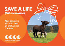 Load image into Gallery viewer, Christmas Gift of Life Card- Help Save an Orphan