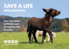 Load image into Gallery viewer, Gift of Life Card- Help Save an Orphan
