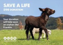 Load image into Gallery viewer, Gift of Life Card- Help Save an Orphan