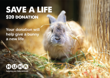 Load image into Gallery viewer, Gift of Life Card- Give a Bunny a New Life