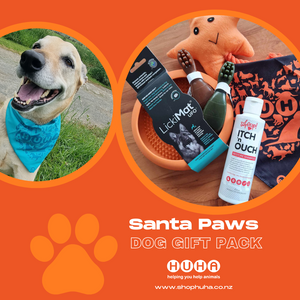 Santa Paws Dog Gift Pack
