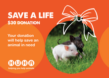 Load image into Gallery viewer, Christmas Gift of Life Card- Help with Rescue & Care Costs