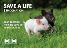 Load image into Gallery viewer, Gift of Life Card- Help with Rescue & Care Costs