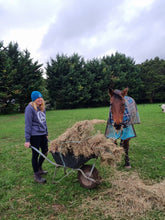 Load image into Gallery viewer, Wishlit- Hay Bale