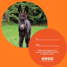 Load image into Gallery viewer, Save a life- Gift Tag Baubles