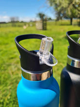 Load image into Gallery viewer, Stainless Steel Water Bottle with Straw