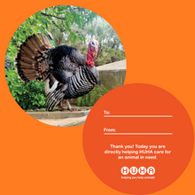 Load image into Gallery viewer, Save a life- Gift Tag Baubles