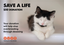 Load image into Gallery viewer, Gift Of Life Card- Desexing