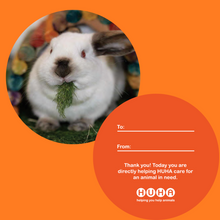 Load image into Gallery viewer, Save a life- Gift Tag Baubles