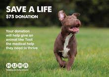 Load image into Gallery viewer, Gift of Life Card- Help with Medical Costs