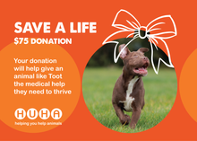 Load image into Gallery viewer, Christmas Gift of Life Card- Help with Medical Costs