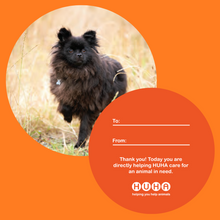 Load image into Gallery viewer, Save a life- Gift Tag Baubles