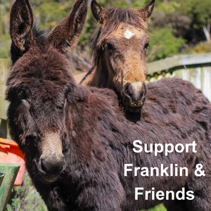 Support Franklin & Friends