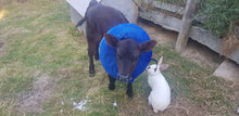 Load image into Gallery viewer, Support Sanctuary Cows