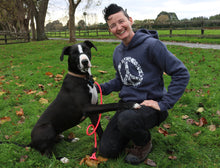 Load image into Gallery viewer, Halti Headcollar