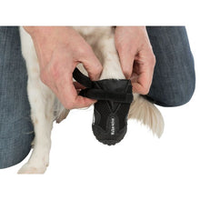 Load image into Gallery viewer, Trixie Walker Active Dog Boots 2 Pack
