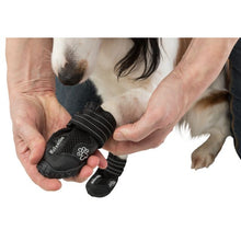 Load image into Gallery viewer, Trixie Walker Active Dog Boots 2 Pack