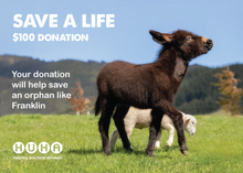 Load image into Gallery viewer, E-Card- Help Save an Orphan