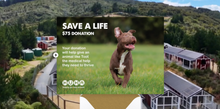 Load image into Gallery viewer, E-Card $75 Gift of Life Donation
