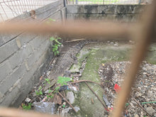 Load image into Gallery viewer, Save the Kokonut Cafe Crocs Tee