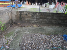 Load image into Gallery viewer, Save the Kokonut Cafe Crocs Tee