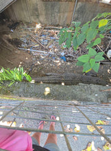 Load image into Gallery viewer, Save the Kokonut Cafe Crocs Tee