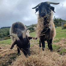 Load image into Gallery viewer, Wishlit- Hay Bale