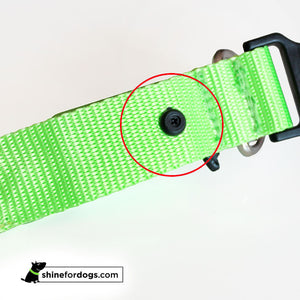 Rechargable LED dog Collars