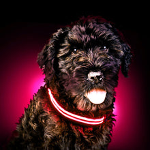 Load image into Gallery viewer, Rechargable LED dog Collars
