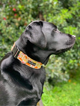 Load image into Gallery viewer, Medium Breed- Kiwi Hound Dog Handcrafted Dog Collar