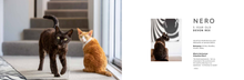 Load image into Gallery viewer, CATNIP - A Cat in the Family - by Jo Moore
