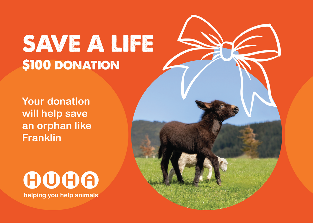 Christmas Gift of Life Card- Help Save an Orphan