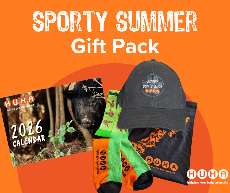 Sporty Summer HUHA Gift Pack