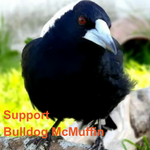 Support Bulldog McMuffin