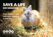 Load image into Gallery viewer, Gift of Life Card- Give a Bunny a New Life
