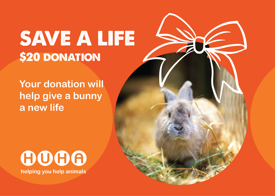 Christmas Gift of Life Card- Give a Bunny a New Life