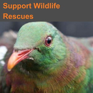 Support Rescued Wildlife