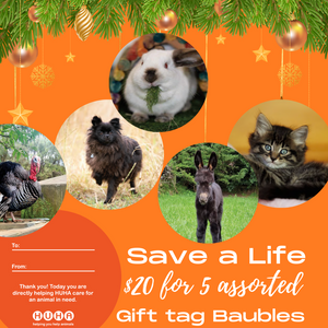 Save a life- Gift Tag Baubles