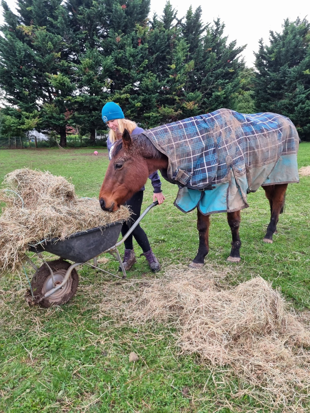 Hay Bale