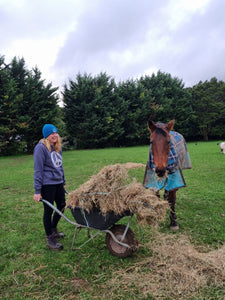 Hay Bale