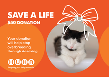 Load image into Gallery viewer, Christmas Gift Of Life Card- Desexing
