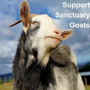 Support Sanctuary Goats