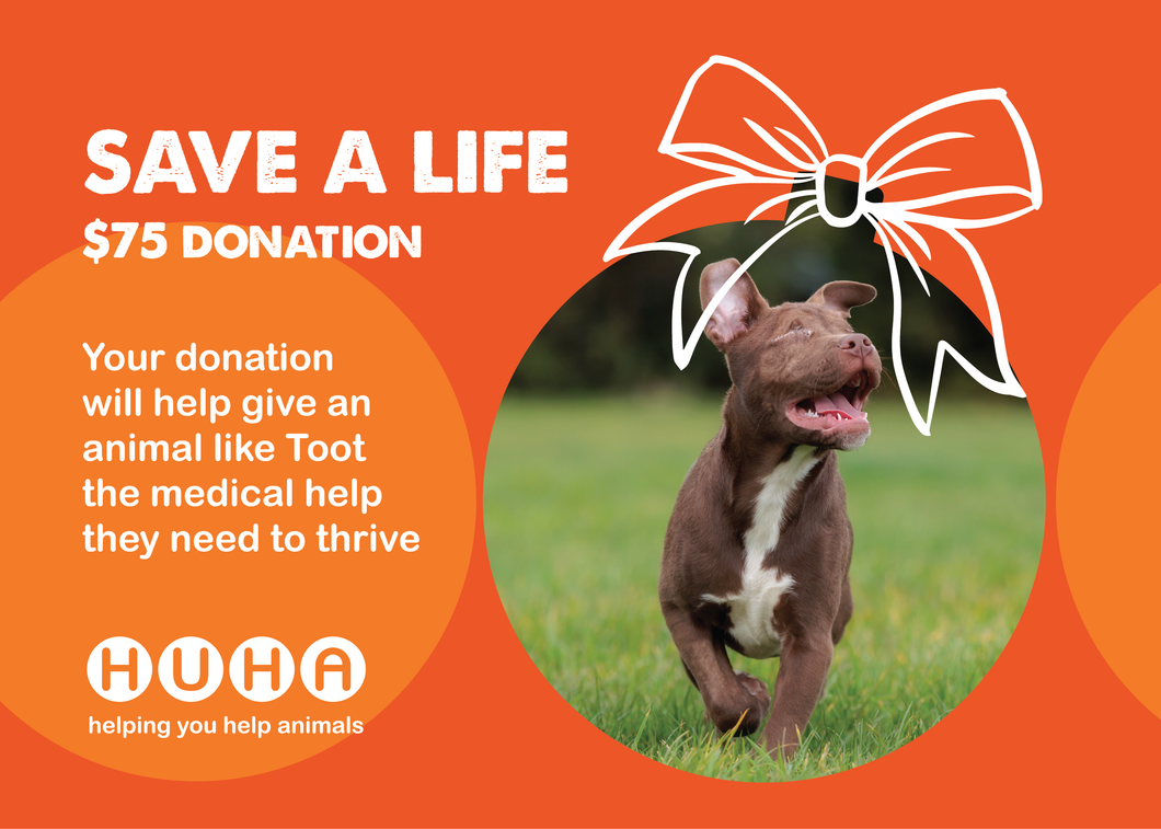 Christmas Gift of Life Card- Help with Medical Costs