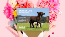 Load image into Gallery viewer, E-Card- Help Save an Orphan
