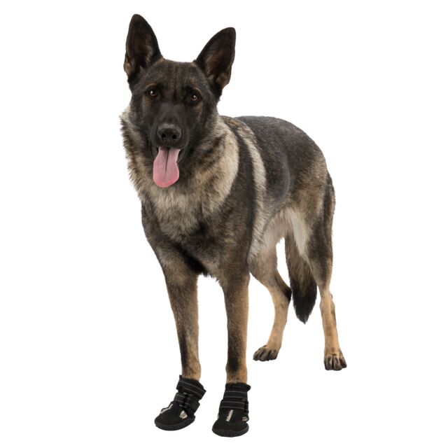 Trixie Walker Active Dog Boots 2 Pack
