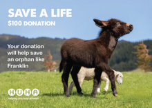 Load image into Gallery viewer, Gift of Life E-Card- Help Save an Orphan
