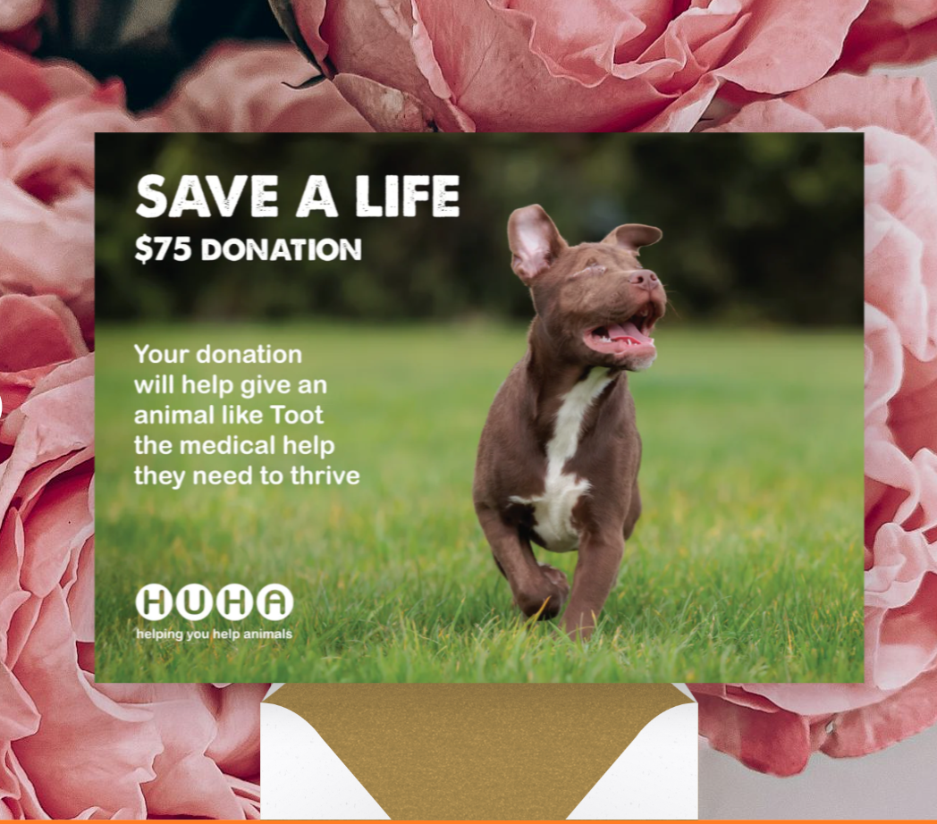 Mother's Day E-Card $75 Gift of Life Donation