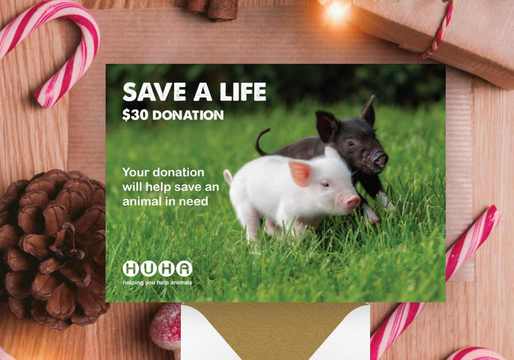 Christmas E-Card $30 Save a Life Donation