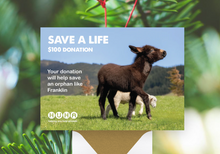 Load image into Gallery viewer, Gift of Life E-Card- Help Save an Orphan
