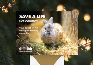 Christmas E-Card $20 Gift of Life Donation